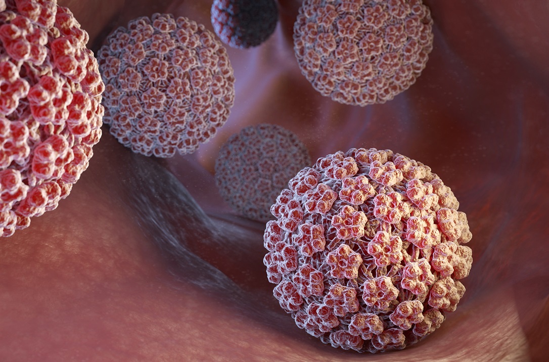 hpv-virus.tmb-large